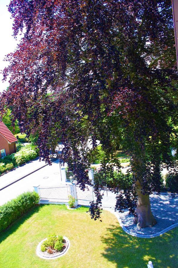 Rosen Villa Kappeln Exteriör bild